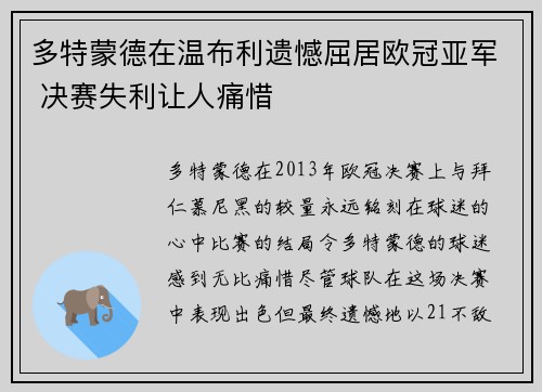 多特蒙德在温布利遗憾屈居欧冠亚军 决赛失利让人痛惜