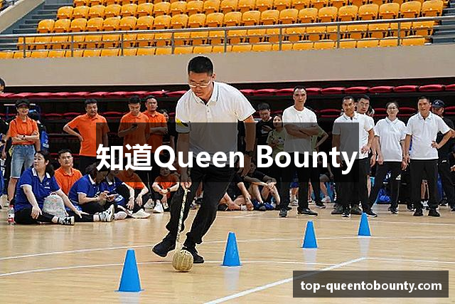知道Queen Bounty